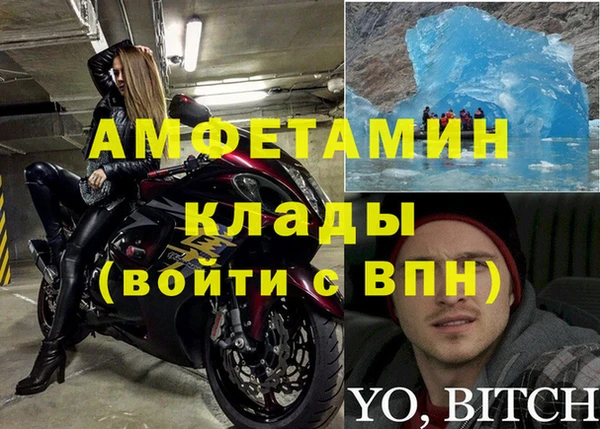 apvp Ельня