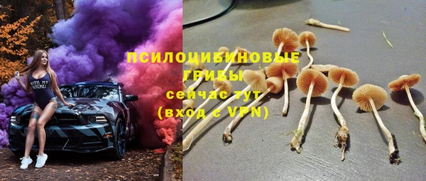 ПСИЛОЦИБИНОВЫЕ ГРИБЫ Елизово