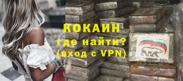 apvp Ельня