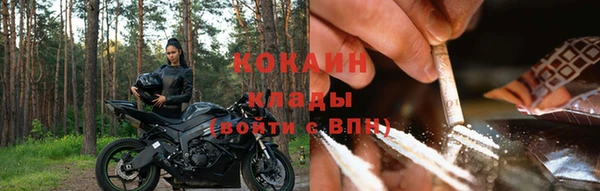 ПСИЛОЦИБИНОВЫЕ ГРИБЫ Елизово