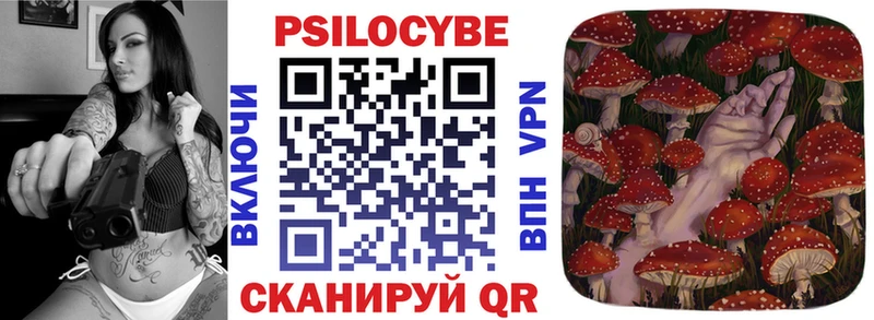 Купить закладки Краснознаменск Псилоцибиновые грибы MAGIC MUSHROOMS