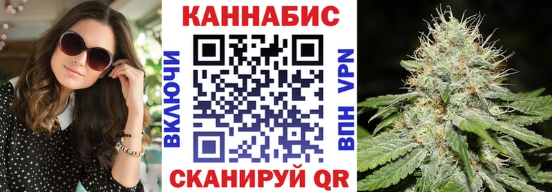 Конопля план Купить где Краснознаменск